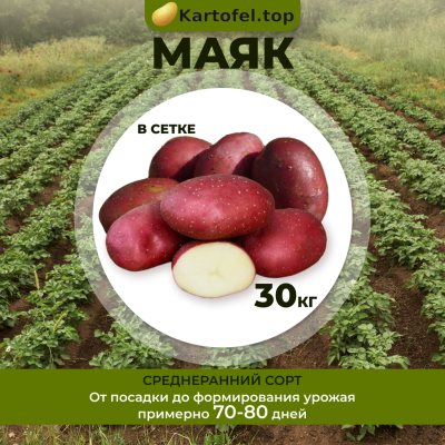 Маяк (элита) 30 кг