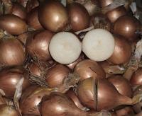 Шекспир (Голландия)