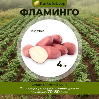 Фламинго (элита) 4 кг