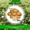 Метеор (элита) 30 кг