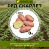 Ред скарлет (элита) 8кг