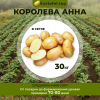 Королева Анна (элита) 30 кг