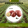 Рябинушка (элита) 4 кг