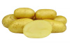 Колетте (элита)