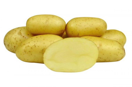 Колетте (элита)