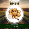 Киви (элита) 8кг